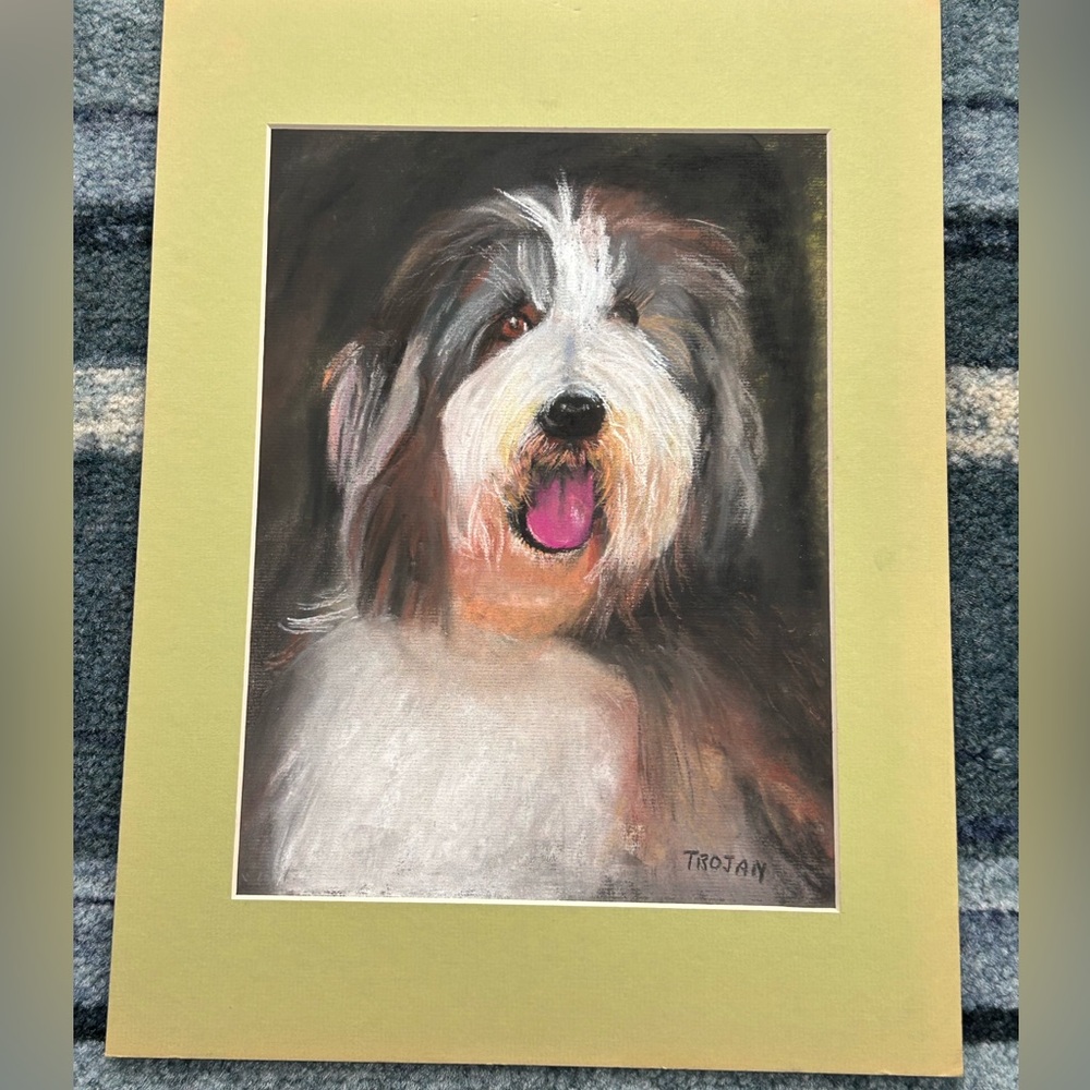 Fluffy grey and white dog, Pastel drawing cardboard matted frame
